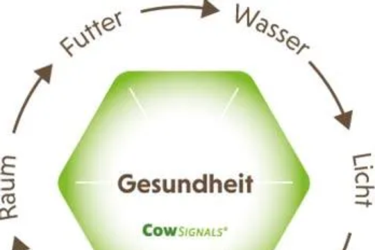 Kuhkomfort, CowSignals®, und Tierwohl in Roboterbetrieben (inkl. Tierverkehr)
